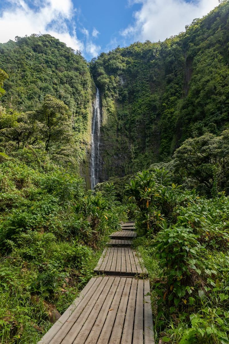 Hawaii Waterfall